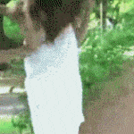 panties sharking – Google Search