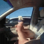 Dickflash Tumblr