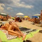 professorssite: We know that open displays of sexual behavior…