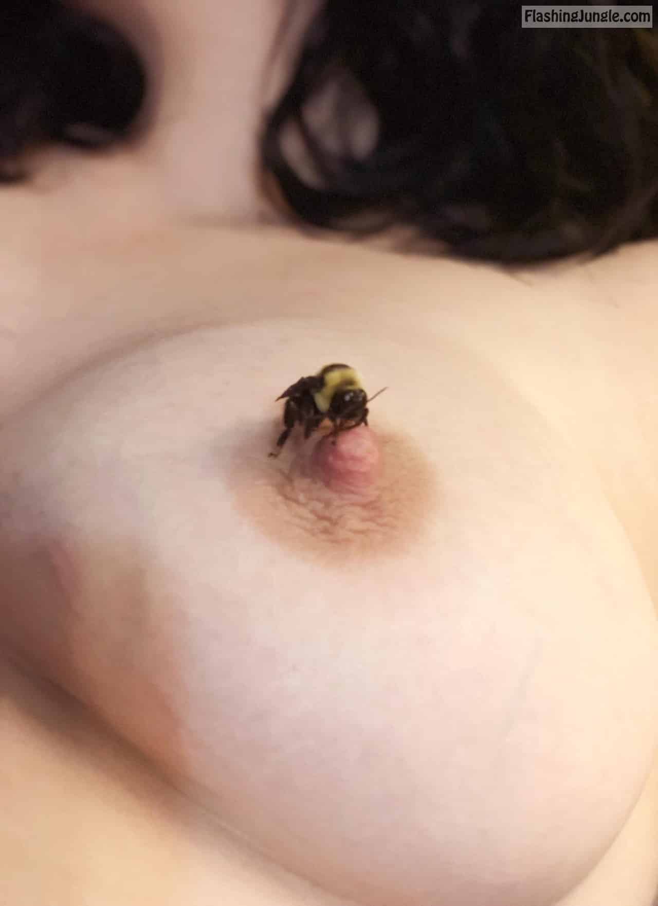 Public Flashing Pics  : Bee on nipple