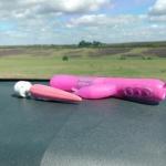 southcoastmilf: So today I took a couple of my friends out in the car with me…. what lovely…