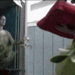 tumblr_nrsl55Zjst1rqsucyo1_400