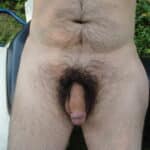 Dick flashing in nature