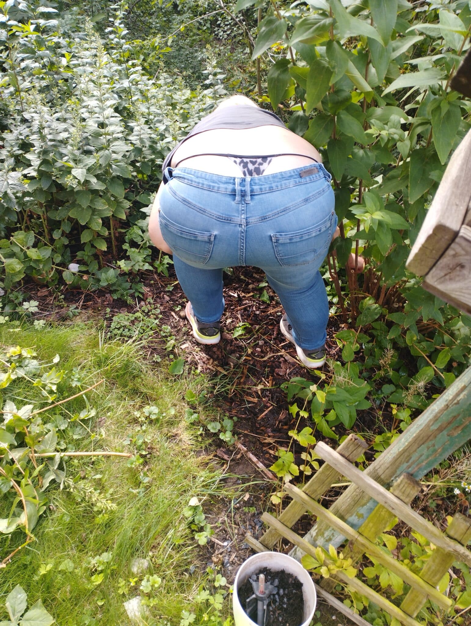 delta state xxx photo - Ass photo – leopard tangos for you all! Put your reaction – and we will post more! Www xxxphotoass com - Ass Flash Pics