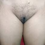 Young Sexy Wife’s Pussy