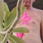 Naked Asian guy at work place