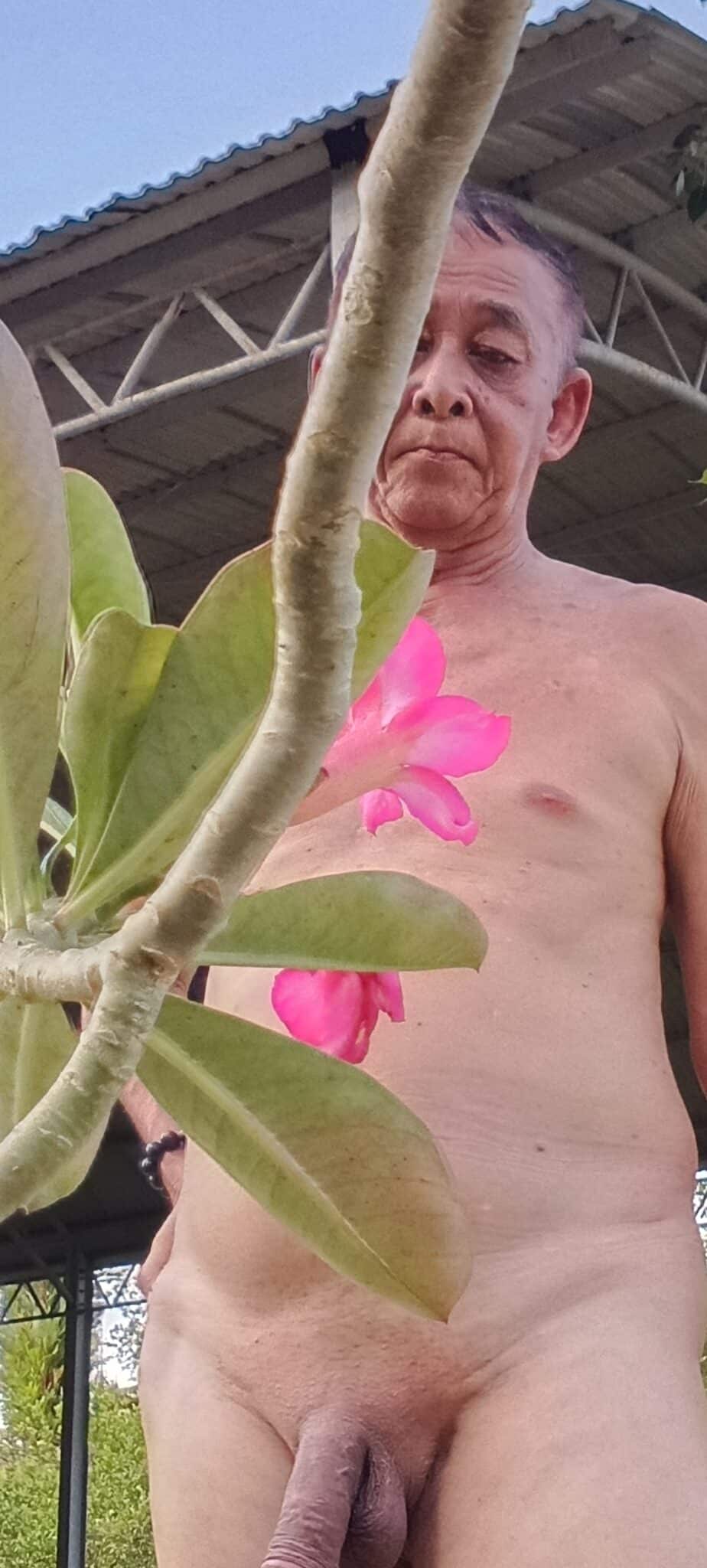 flashing balls dick teaction - Naked Asian guy at work place Naked again! www DARKNAIJA NUDE pornography c - Dick Flash Pics